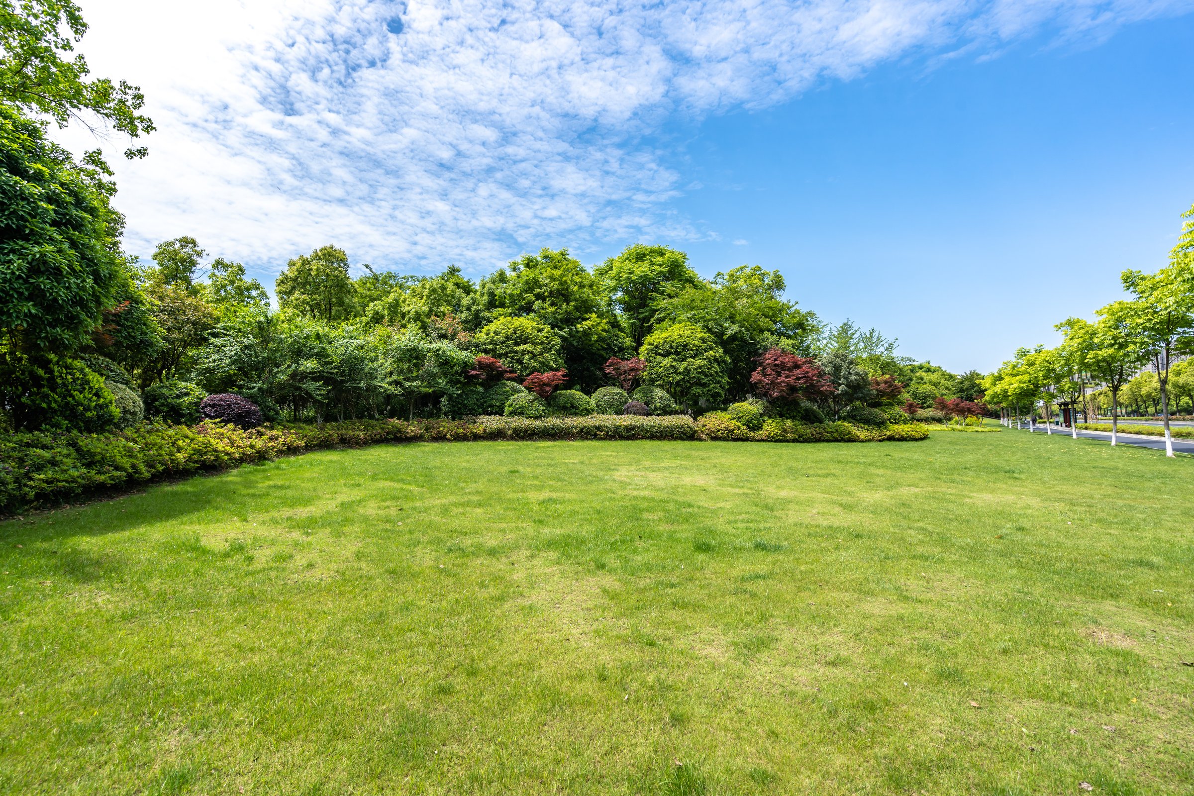 Landscaped garden with manicured lawn and hedges